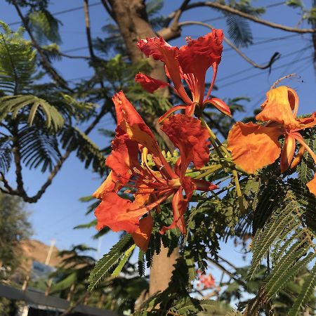Sea Renity Mui Ne Homestay Phan Thiết Exteriér fotografie
